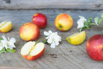 apples i