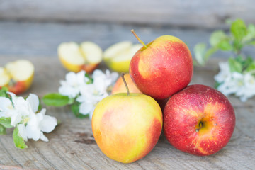 apples i