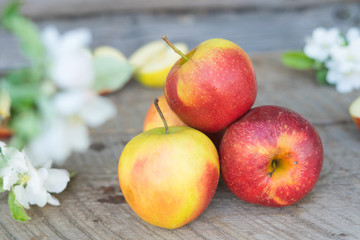 apples i