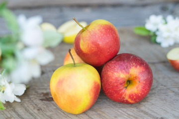 apples i