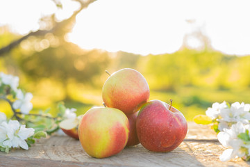 apples i