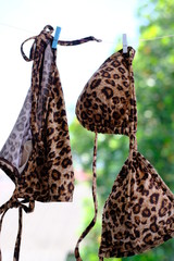 Leopard bikini set and hang bikini