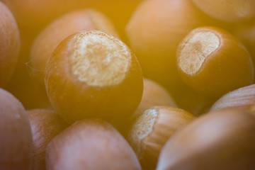 Hazelnuts macro in the rays of the sunset
