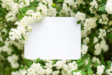 Paper Card Mockup on white flowers . summer background with copy space