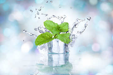 ice cubes and splashing water with mint on a colored background