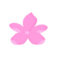 Flower. Spring. Pink flower. White background. Vector illustration. EPS 10.