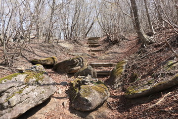 古峰ヶ原高原ハイキングコース（三昧石への道）