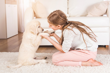 Teenage girl playing with cute retriever puppy at home