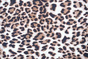 close up leopard pattern background