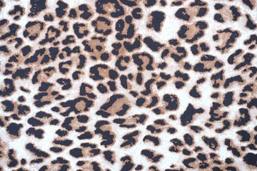  close up leopard pattern background © WS Studio 1985