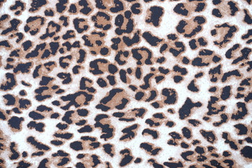 close up leopard pattern background