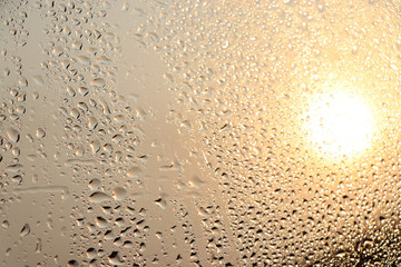 Water drops on a window glass after the rain. The  sun on background.