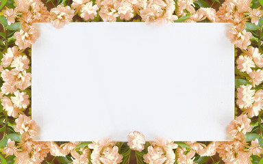 Blank card surrounded by pale pink button roses branches