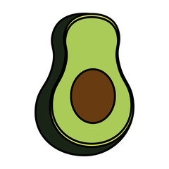 fresh avocado vegetable icon