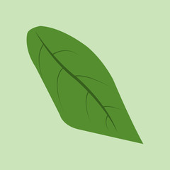 Leaf. Green leaf. Icon leaf. Vector illustration. EPS 10.