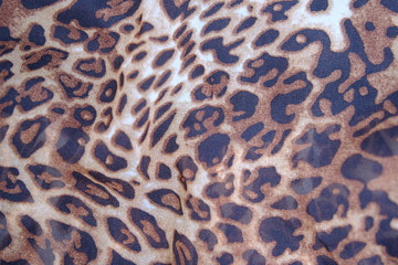 close up leopard pattern background