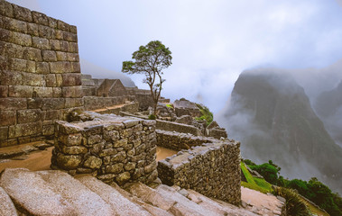 Amazing view of majestic Machupicchu temple landscape covered with fog on the background