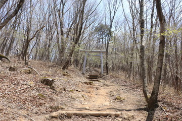古峰ヶ原高原ハイキングコース（瑞峯寺の鳥居）