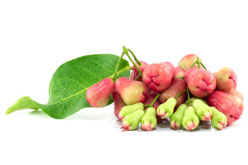 Rose apples or chomphu with leaves isolated on the white background