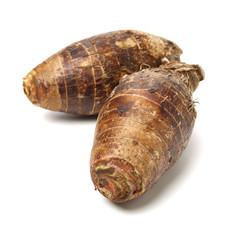 Taro on a white background