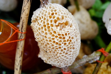 Honeycomb from the forest is full of honey in the market.