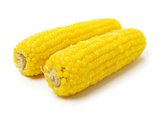 Boiled corn on white background