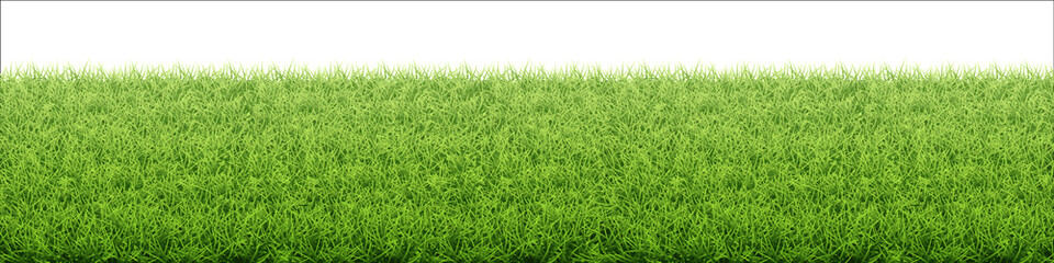 Fototapeta Green grass lawn. Border from fresh grass field. Background for design natural countryside landscape. obraz