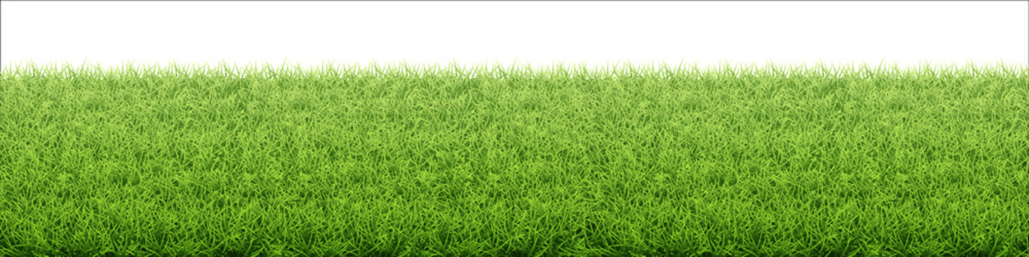 芝 のストック写真 ロイヤリティフリーの画像 ベクター イラスト Adobe Stock
