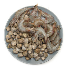 raw shrimp and seashells on grey plate and white background