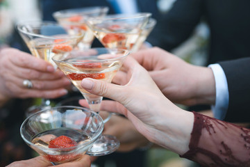 woman clinking glasses with guests