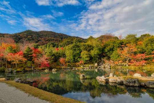84 Best 曹源池庭園 Images Stock Photos Vectors Adobe Stock