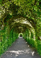 Fototapeta na wymiar Historical garden of 'Muiderslot'; medieval Castle Muiden, Netherlands 