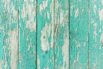 Unpolished wood texture background. Shabby planks painted in light blue color.