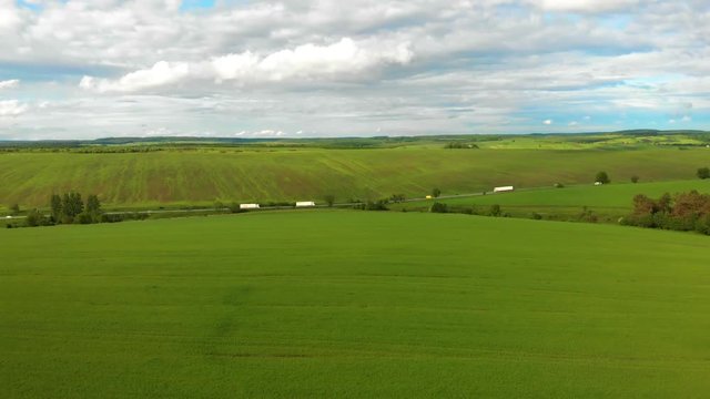 white trucks ride along the road near large beautiful fields with green wheat aerial background nature wallpapper