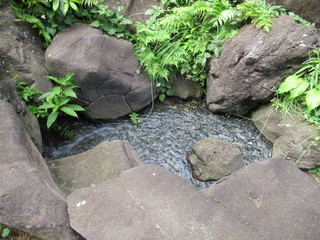 Garden Stream Japan