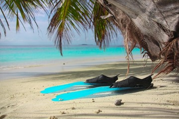 Turquoise blue flippers close up lie on the shore of a tropical island with white sand, in blue lagoon Indian Ocean, Maldives. Vacation and leisure concept