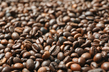 Many coffee beans as background, closeup and space for text