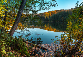 Silence at the forest lake at sunset, with reflection of forest on a water smooth surface, Russia, Mari El