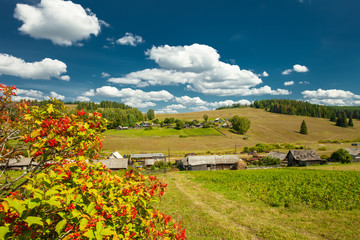Panorama of the village at the mountain slope with a guelder-rose bush in the foreground