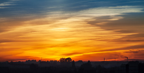 Fototapeta na wymiar Trees silhouette at the orange sunset sky
