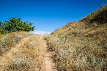 Dirt road overgrown with dry grass leading to the top of the hill.on a Sunny summer day.