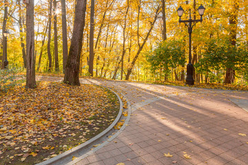 Obraz premium Drainage gutter on the edge of the pavement of natural granite stone. Smooth turn on the border of paving.