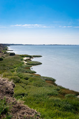 Fototapeta na wymiar the coast of the Azov sea, overgrown with grass and rushes summer sun dnem