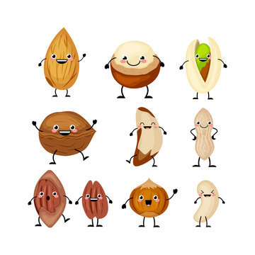 Set of different cartoon nuts vector illustration isolated on white background.