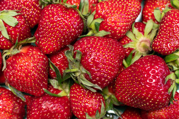 Fresh organic strawberries macro view.