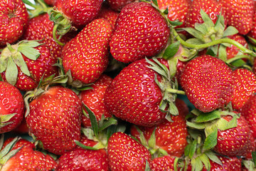 Fresh organic strawberries close up.