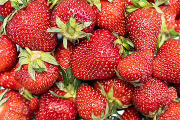 Macro view of fresh organic strawberries. 