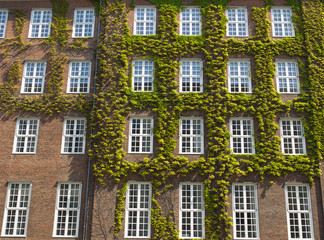 The ordinary scenery of Copenhagen, Denmark before the emergence of the Covid-19 pandemic