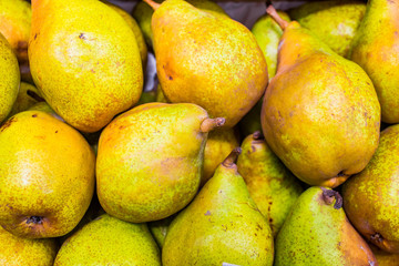 Big pears in pile close-up. Fresh fruit macro. Farming concept