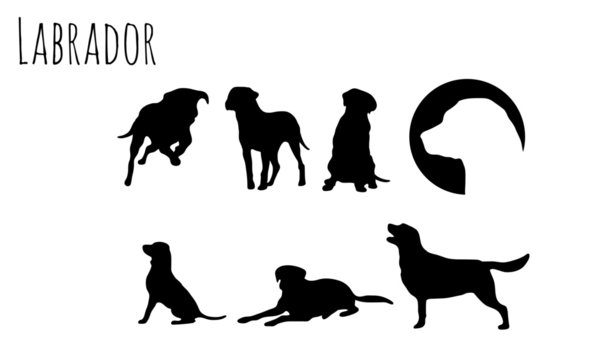 Labrador Icons